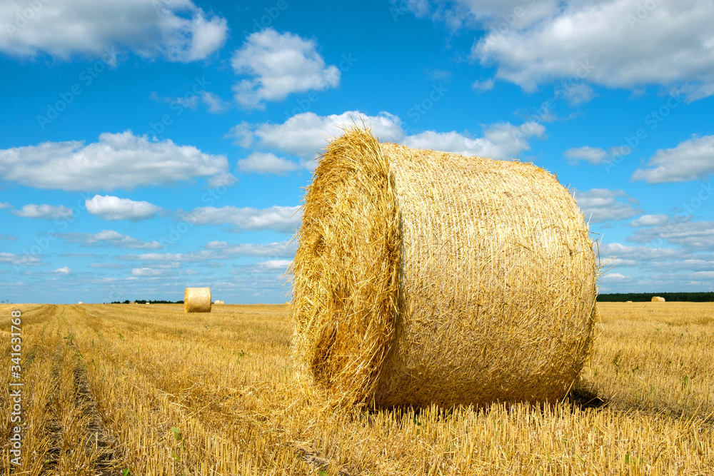 a roll of hay across the field, followed by a distant horizon and blue sky
