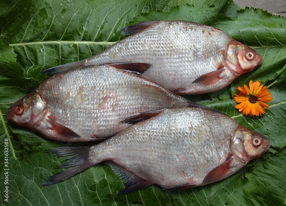 Three breams, bright silver on green horseradish leaves, decorated with an orange flower Three breams, bright silver on green horseradish leaves, decorated with an orange flower