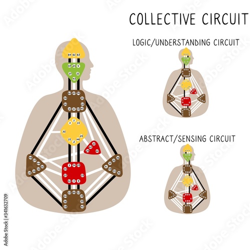 Collective Circuitry. Human Design BodyGraph. Hand drawn bodygraph chart design. Vector