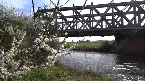 White Flowering Tree in foreground with old railway Bridge now used as a public bridalway near Stratford upon Avon. Ungraded_Sony A73 photo