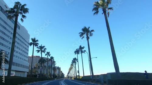 A tropical road on a sunny day. Running video
