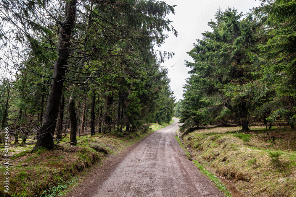 Fototapeta premium Thuringian Forest
