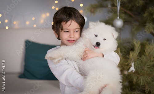  Boy, home, samoyed puppy, fun, Christmas tree © erainbow