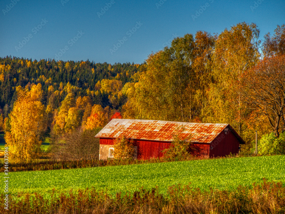 red barn in autumn red barn in autumn