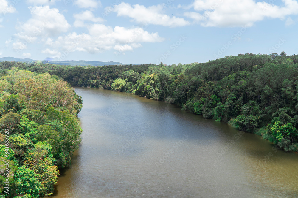 River in jungle forest. Ocean sea and sand. Cairns waterfront aerial view. Dramatic DRONE view from above. Mountain landscape. Shot in Queenstown, Australia.