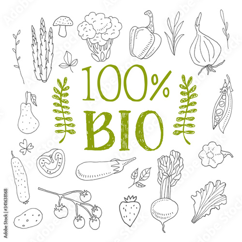 Bio label vector, painted round emblem icon for products packaging. Bio sign with text 100 percent, tag circle stamp isolated, logo shape label graphic design. Insignia with calligraphic text.