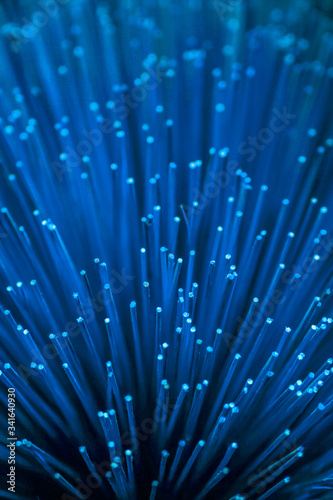 Blue color incense sticks texture background. Close-up of bundles of traditional Vietnamese colorful incense sticks