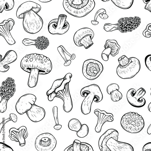 seamless pattern mushrooms hand drawn vector illustration. Isolated sketch style organic food drawing. Champignon, morel, enokitake, oyster, chanterelle, shiitake. menu, label, product packaging