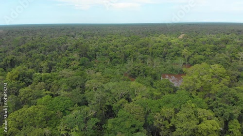 millions trees in the amazon rainforest jungle, panoramic view, horizon line, aerial shot. photo