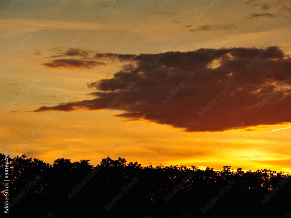 Fototapeta premium Sonnen untergang mit wald und bewölktem Himmel