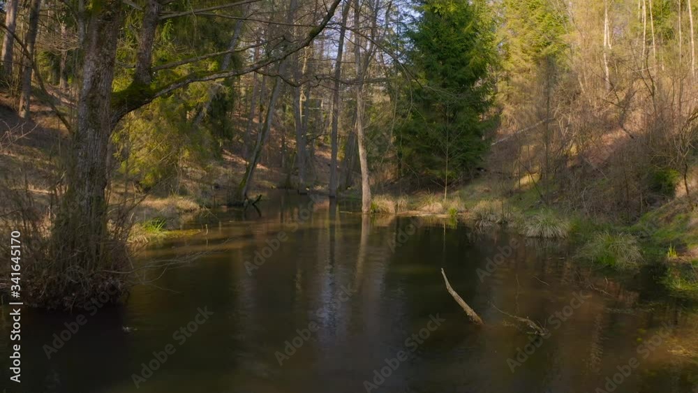 Flying over view of a drying water stream in the woods on country side during summer. Flying over view of a drying water stream in the woods on country side during summer.