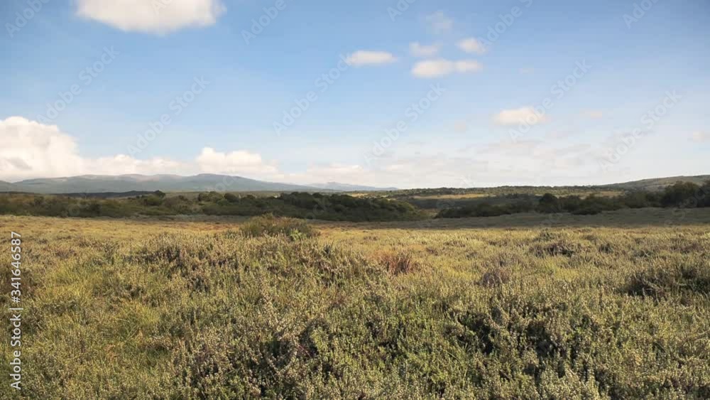 Landscape view of african savannah scenery, Aberdare National Park, Kenya Landscape view of african savannah scenery, Aberdare National Park, Kenya