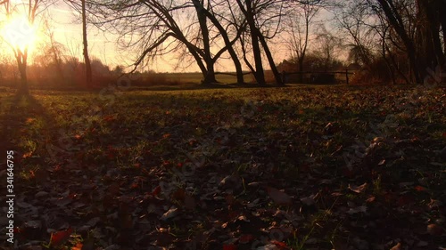 Fly-through in the Woods Near a Farming Field During an Autumn Evening With a Sunset in Zalesie, Near Bratislava, Slovakia photo