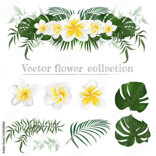 set of vector flowers