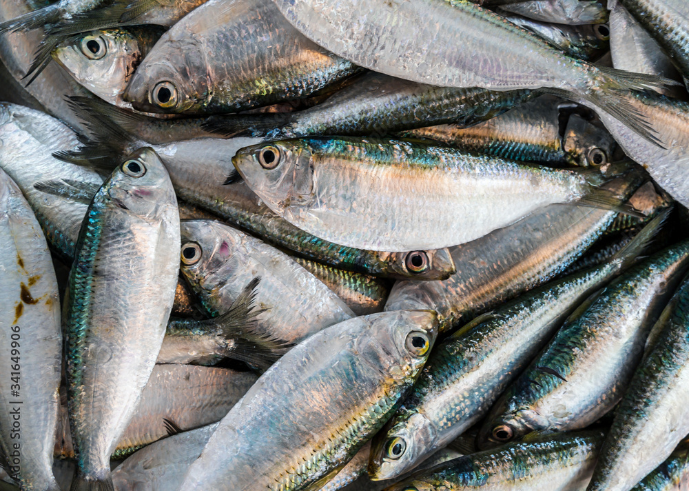 Obraz premium small fish texture on a fish market counter for a better selection of buyers buyers. Peeled sea fish in a crate at the port city of Fish Market in thailand,food concept