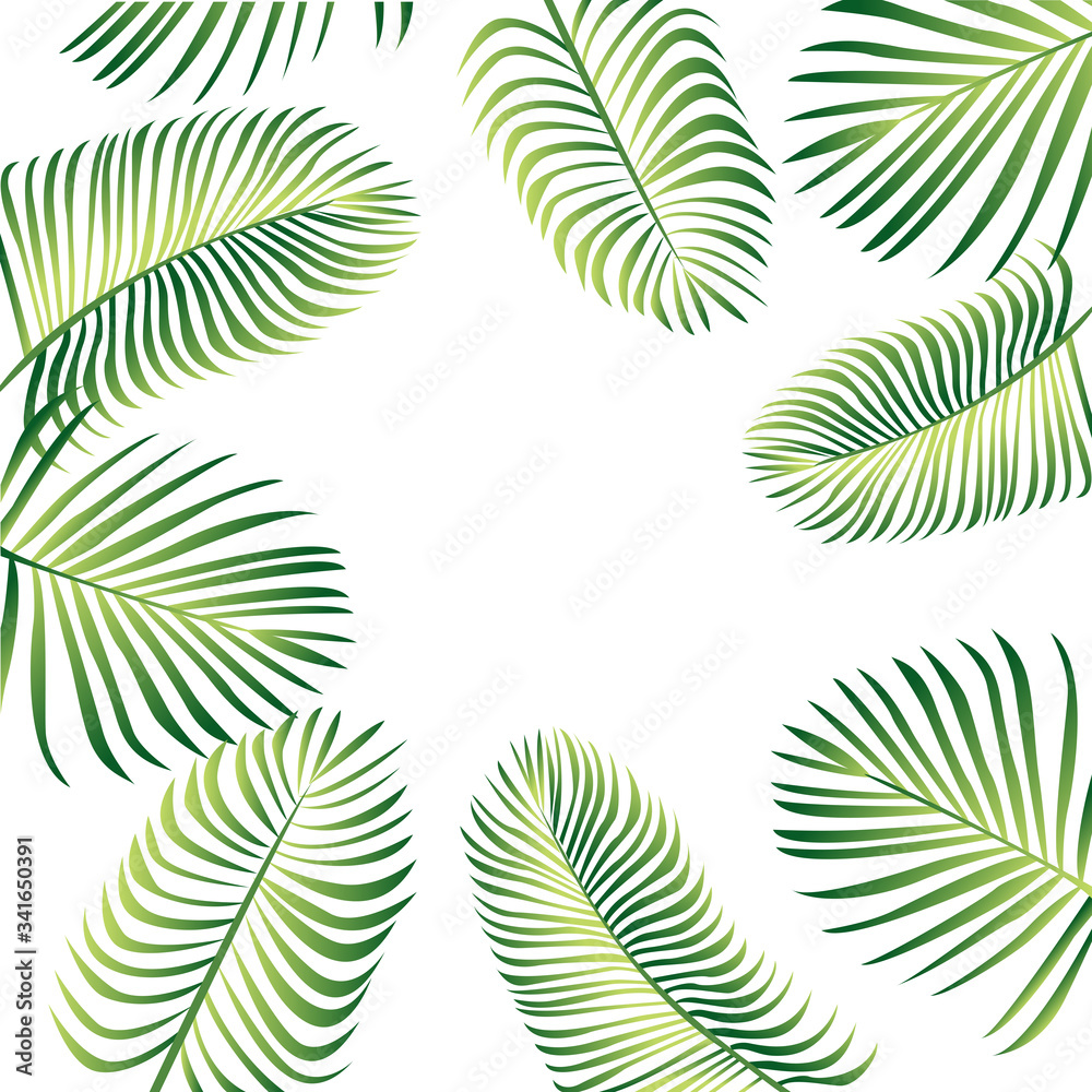 Tropic leaves background