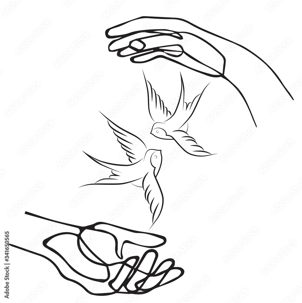 Hand, holding, swallow, bird, vector, illustration Hand, holding, swallow, bird, vector, illustration