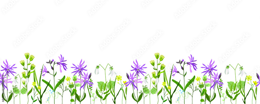 Horizontal vector design of summer flowers and herbs seamless vector on a white background. Summer field. Hand drawn stock illustration. Design for frame, tablecloth, postcard, fabric, paper.