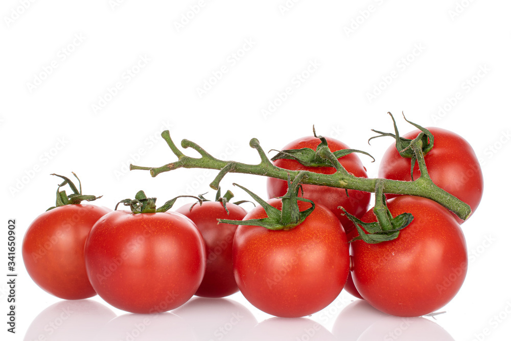 Lot of whole fresh red cherry tomato on vine isolated on white Lot of whole fresh red cherry tomato on vine isolated on white