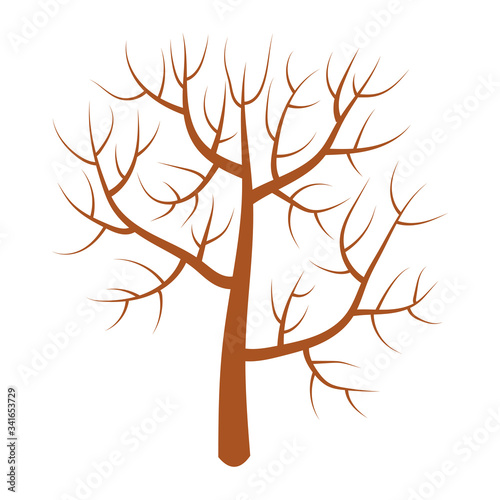 Cartoon bald winter tree in flat style isolated on white background. Fall plant. Vector illustration.   