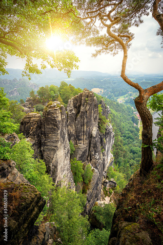Famous viewpoint with iconic tree in the Elbe Sandstone mountains in Saxon Switzerland National Park