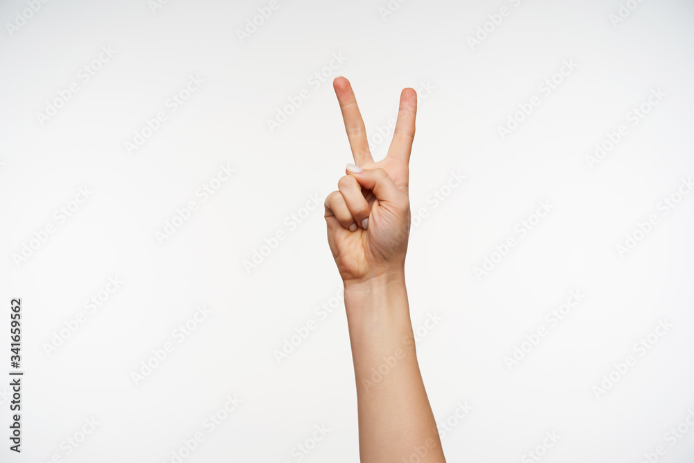 Indoor photo of young attractive female's hand keeping two fingers raised while showing victory sign or peace gesture, posing over white background Indoor photo of young attractive female's hand keeping two fingers raised while showing victory sign or peace gesture, posing over white background