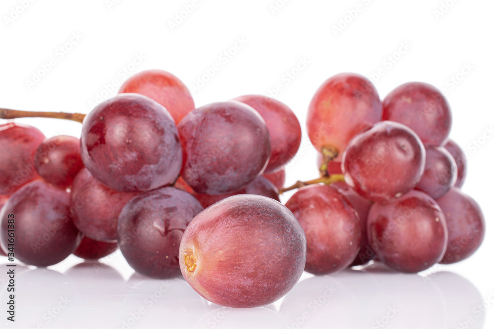 Lot of whole fresh red globe grape one berry in front isolated on white Lot of whole fresh red globe grape one berry in front isolated on white