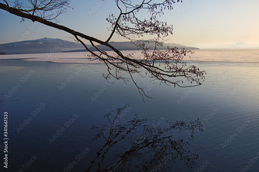 Lake Kussharo in the early morning. Tree branches reflected on the water surface of the mirror. Hokkaido, Japan. Lake Kussharo in the early morning. Tree branches reflected on the water surface of the mirror. Hokkaido, Japan.