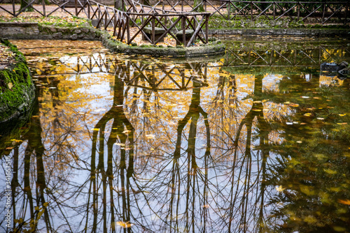reflections on the park pond