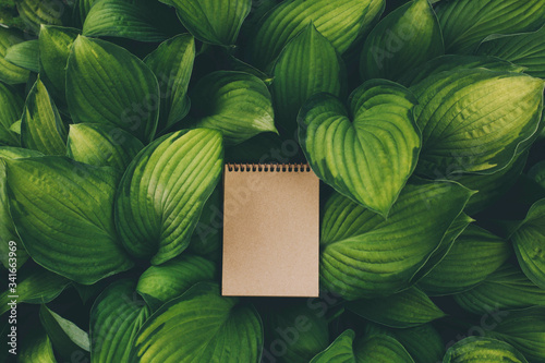 Blank craft sketchbook in the green leaves.