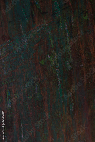 Texture of painted wood.background old tree old green paint