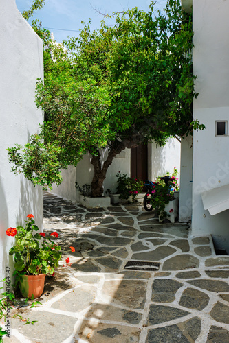 Fototapeta Naklejka Na Ścianę i Meble -  Picturesque narrow street with traditional whitewashed houses with blooming flowers of Naousa town in famous tourist attraction Paros island, Greece