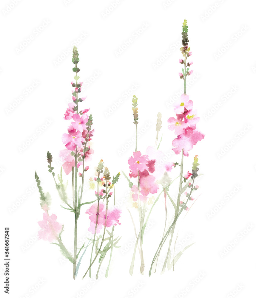 Fototapeta premium Flowers watercolor illustration.Manual composition.Big Set watercolor elements，Design for textile, wallpapers，Element for design,Greeting card