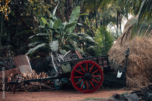 Old wooden wagon wheels in an Indian village on a background of banana leaves and hay