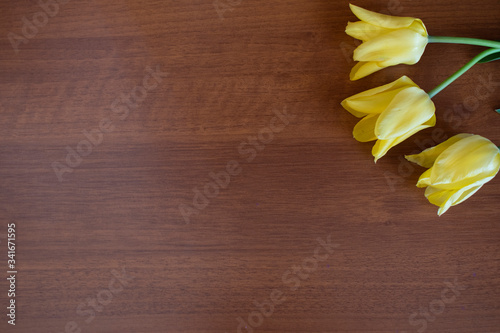 Yellow tulips on wooden background. Copy space