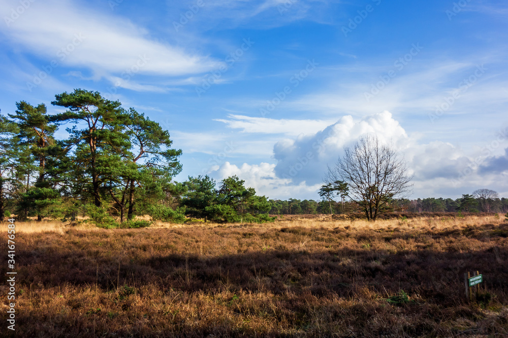 Landscape at Den Treek near Amersfoort, Netherlands Landscape at Den Treek near Amersfoort, Netherlands