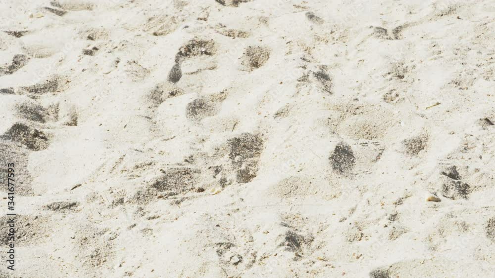 Beautiful sand of beach in summer, coast and shore with rock, desert in vacation, seacoast in tropical, scenic and tropic, nature landscape, peaceful and shoreline, travel in holiday. Beautiful sand of beach in summer, coast and shore with rock, desert in vacation, seacoast in tropical, scenic and tropic, nature landscape, peaceful and shoreline, travel in holiday.