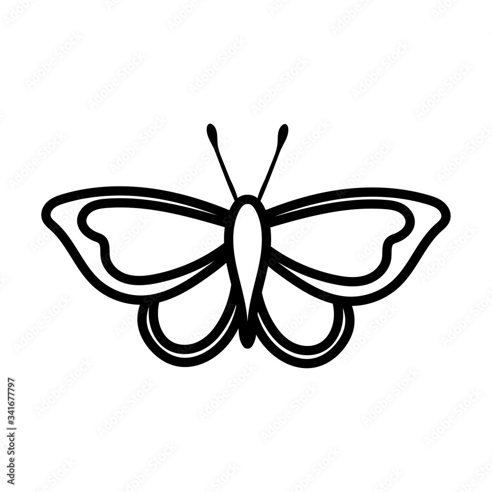 beautiful butterfly insect line style icon beautiful butterfly insect line style icon