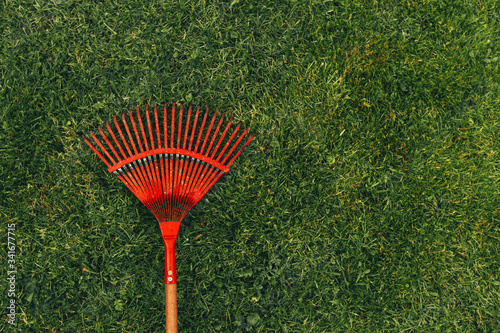 Red rake on a green lawn.
