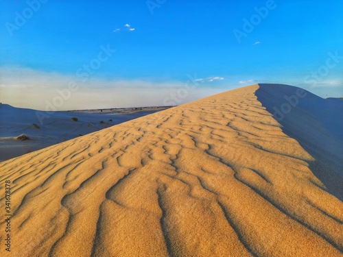 sand dune in desert of Algeria
