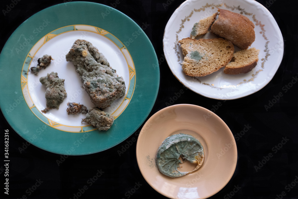 Rotten bread and lemon on plates. Mildew inedible food. Bread and lemon with Blue mold. Top view.