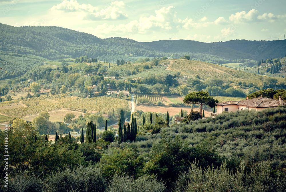 Green meadows in Tuscany. Landscape with hills, garden trees, mansions of Italian countryside