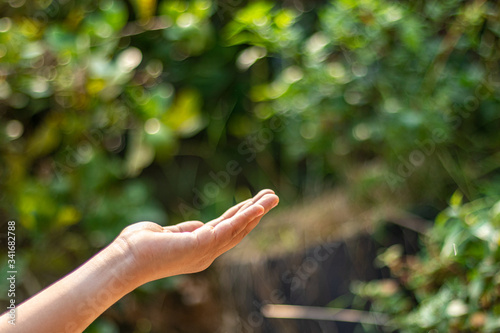 Child's hand on natural green blur background. © Yuwarin