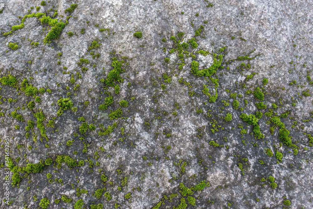 Green moss grows on uneven and rough surface of gray stone. Relief and texture of stone with fancy patterns and grass cover. Abstract background for your design Green moss grows on uneven and rough surface of gray stone. Relief and texture of stone with fancy patterns and grass cover. Abstract background for your design