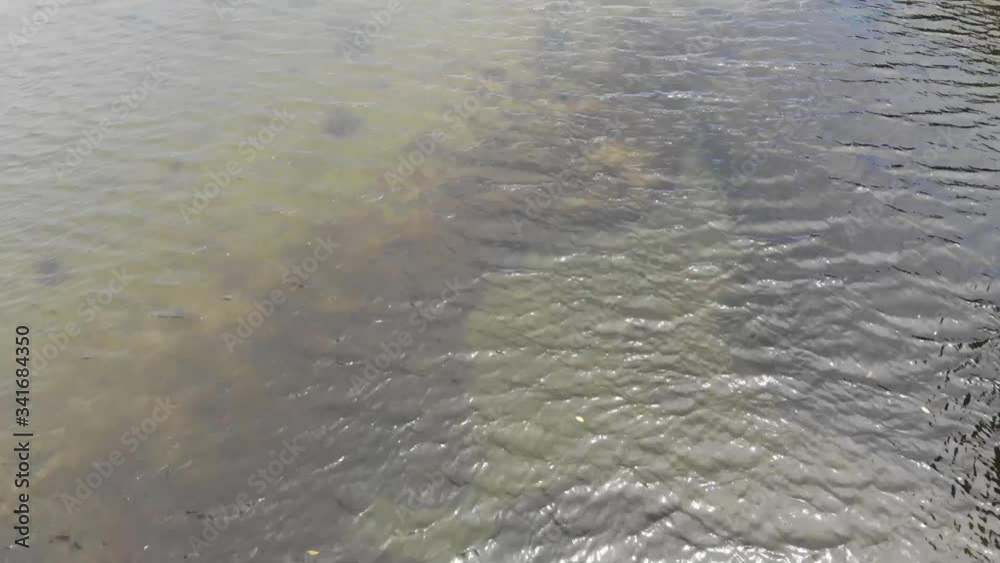 Pasikudda Beach Drone Pasikudda Beach Drone