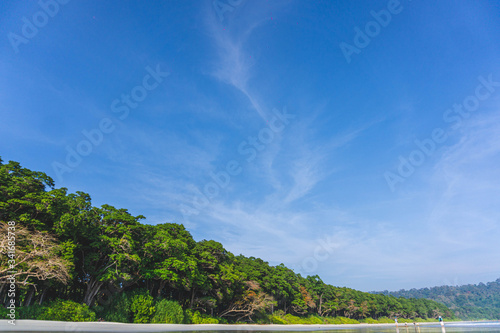 landscape with trees and blue sky in radhanagar beach havelock andaman © Moinak