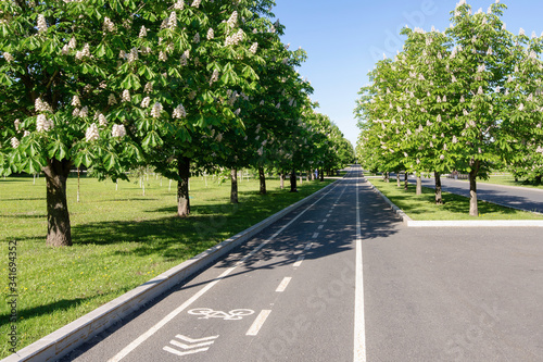 Wallpaper Mural Bike path and flowering chestnuts in the city park. Moscow, Russia. Torontodigital.ca