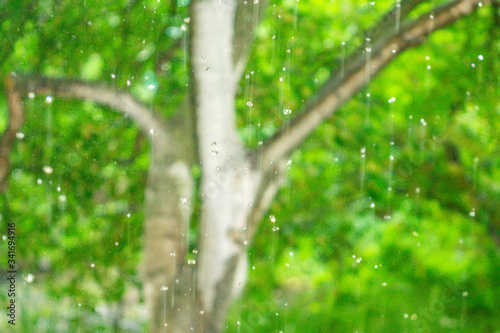 rain on a blurred natural green background, defocusing, selective focus, abstraction, nature