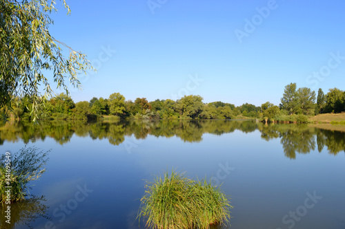 Trees on the lake. Landscape with a lake, view of the opposite birch with trees and reflection in the water © Yuliia Kishun