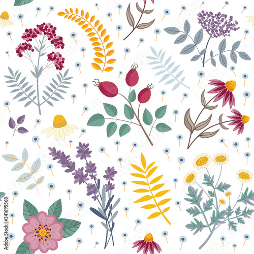 Seamless Pattern with Medical Herbs and Flowers